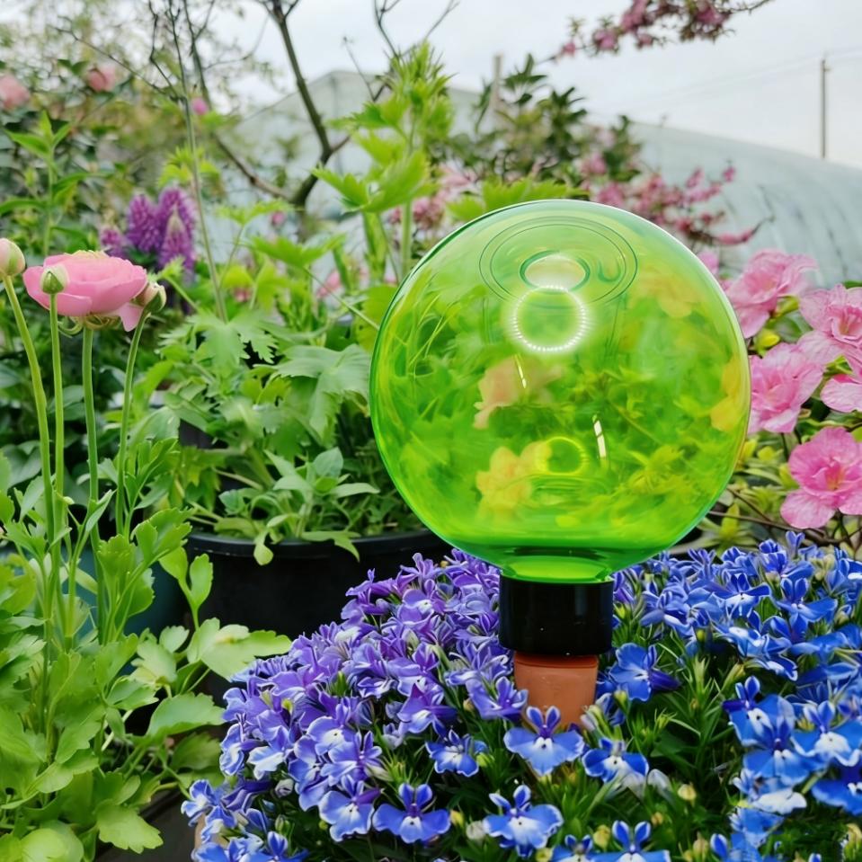 3pcs Large Plant Self Watering - Self-Watering Planter avis et prix