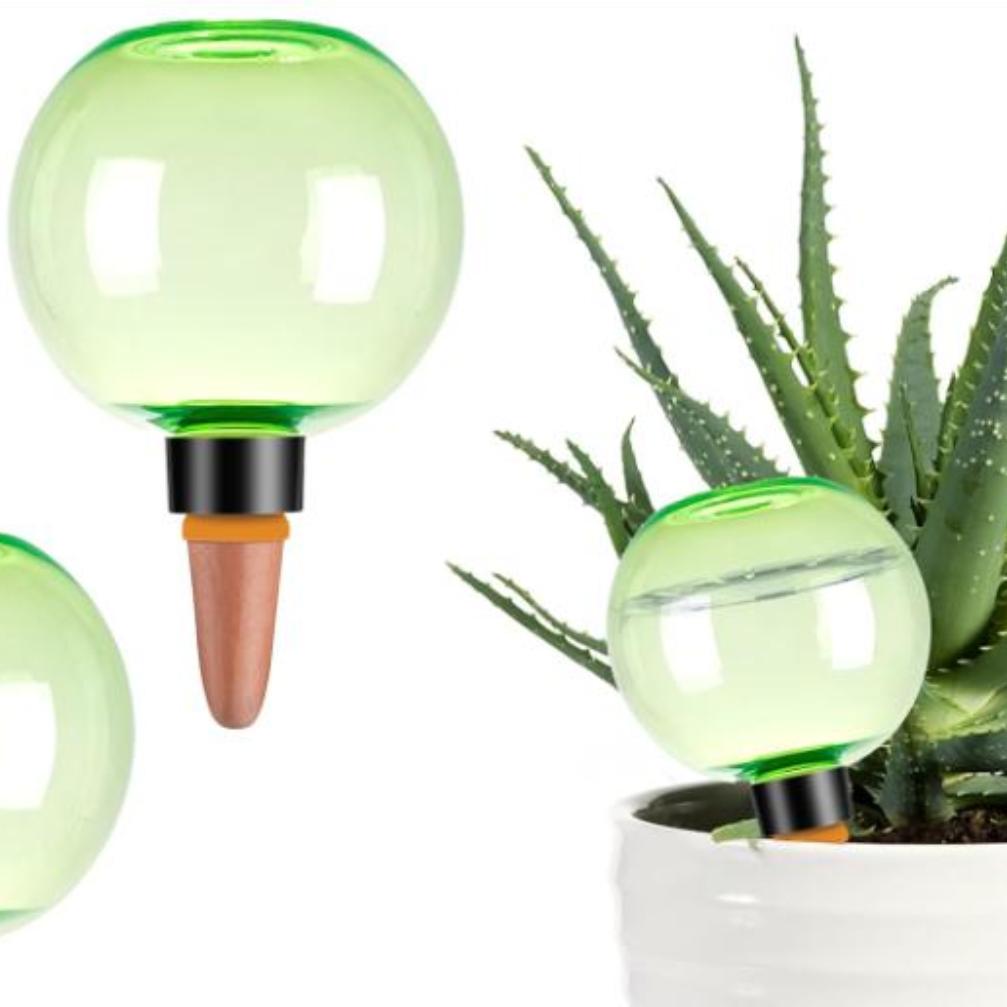 3pcs Large Plant Self Watering - Self-Watering Planter avis et prix
