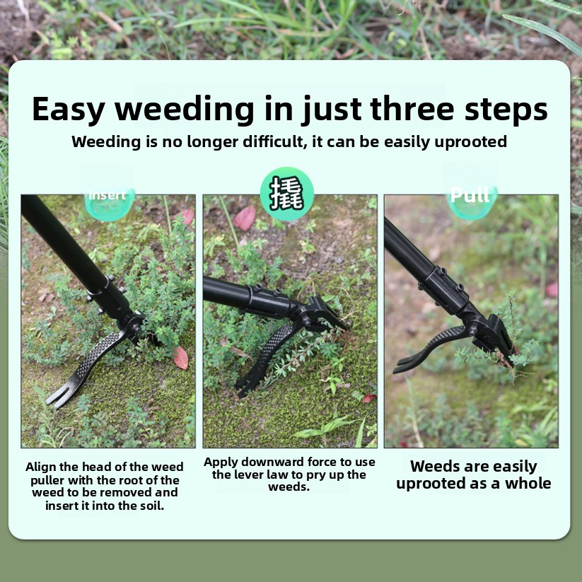No Need To Bend Over, Standing - Gardening Tools You Need avis et prix