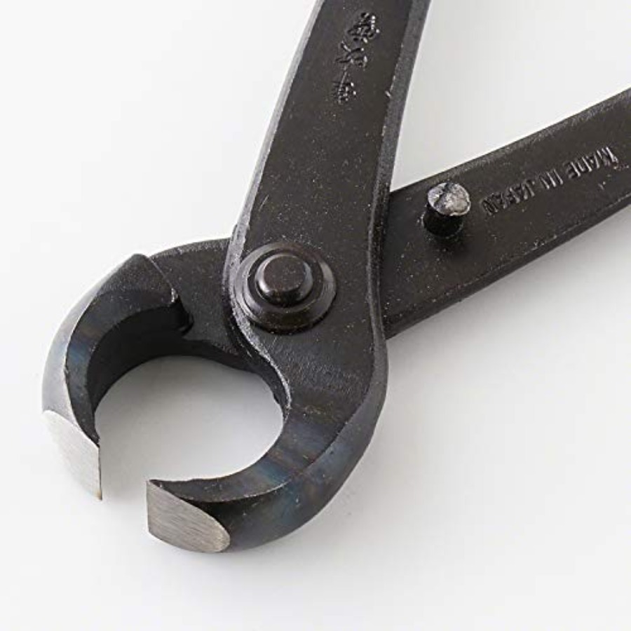 Hand Forged Bonsai Tree Trunk  - Gardening Tools Made In Japan avis et prix