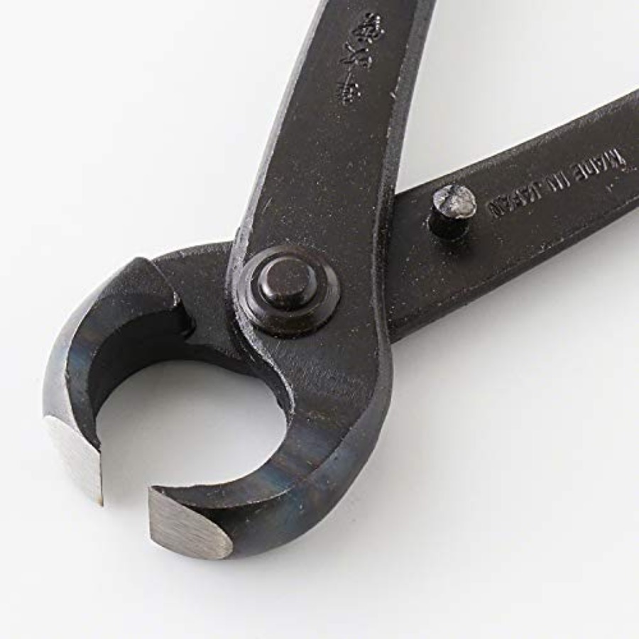 Hand Forged Bonsai Tree Trunk  - Gardening Tools Made In Japan avis et prix