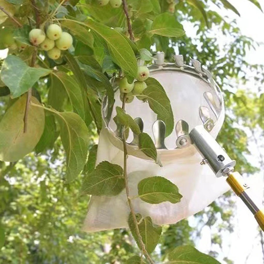 Professional Berry Picker Tool - Gardening Tools Rack avis et prix
