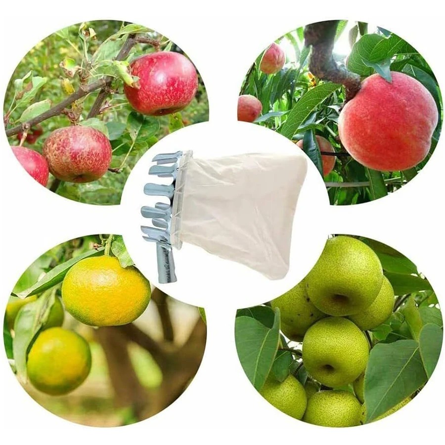 Professional Berry Picker Tool - Gardening Tools Rack avis et prix