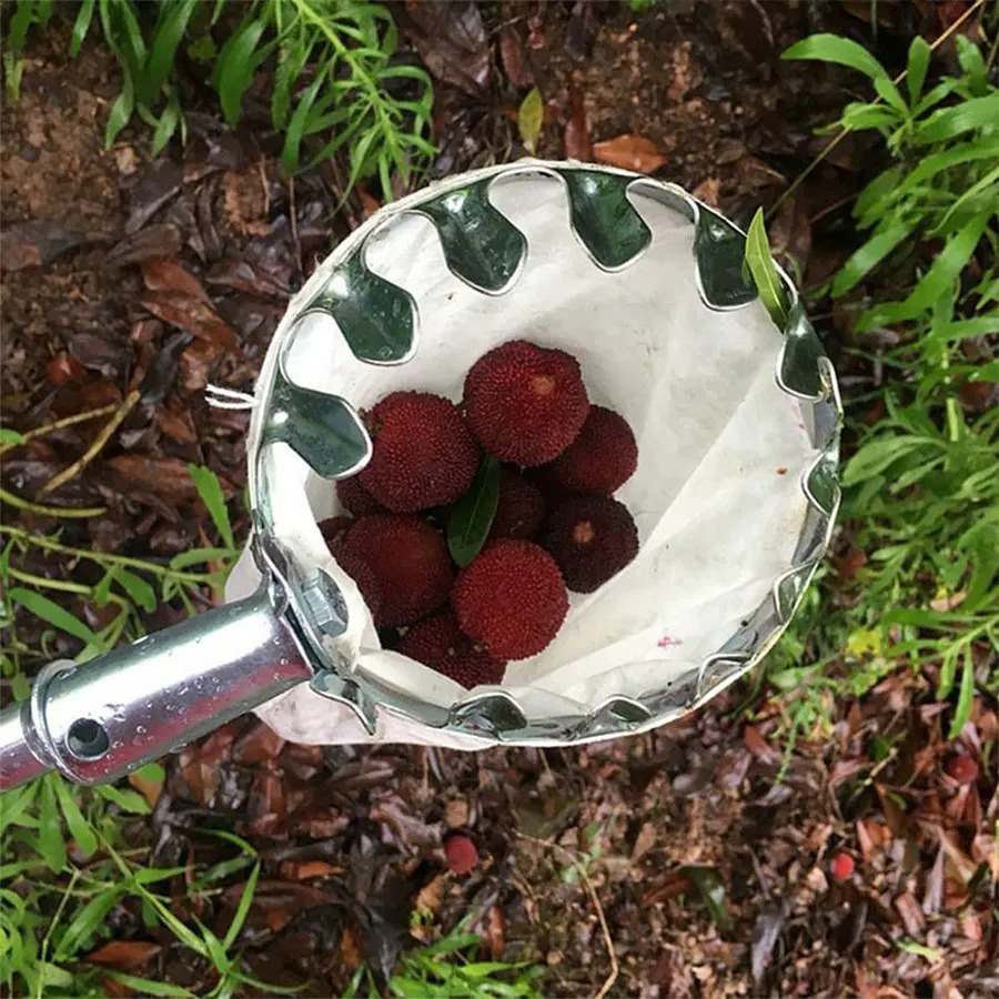 Professional Berry Picker Tool - Gardening Tools Rack avis et prix