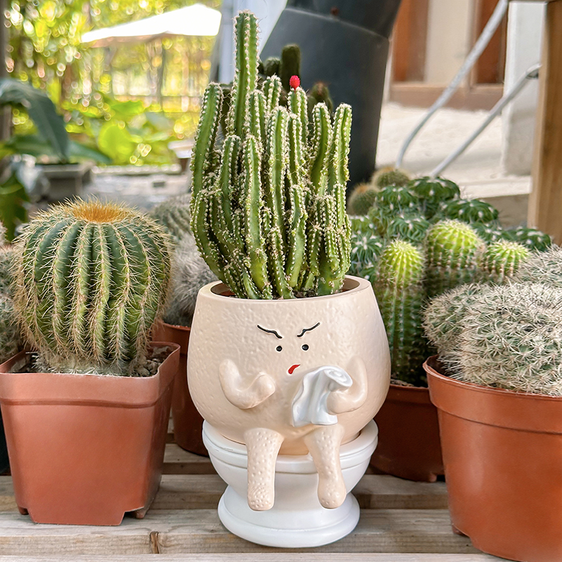 Funny Ghost Toilet Resin Succu - Gardening Tools Cute avis et prix