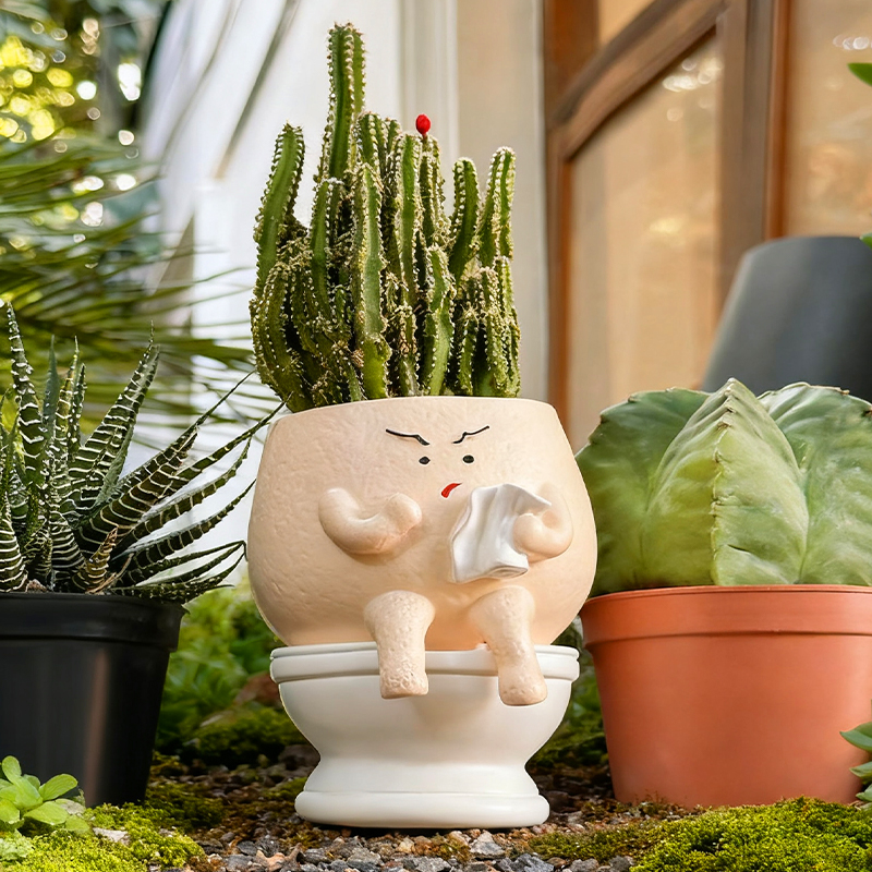 Funny Ghost Toilet Resin Succu - Gardening Tools Cute avis et prix