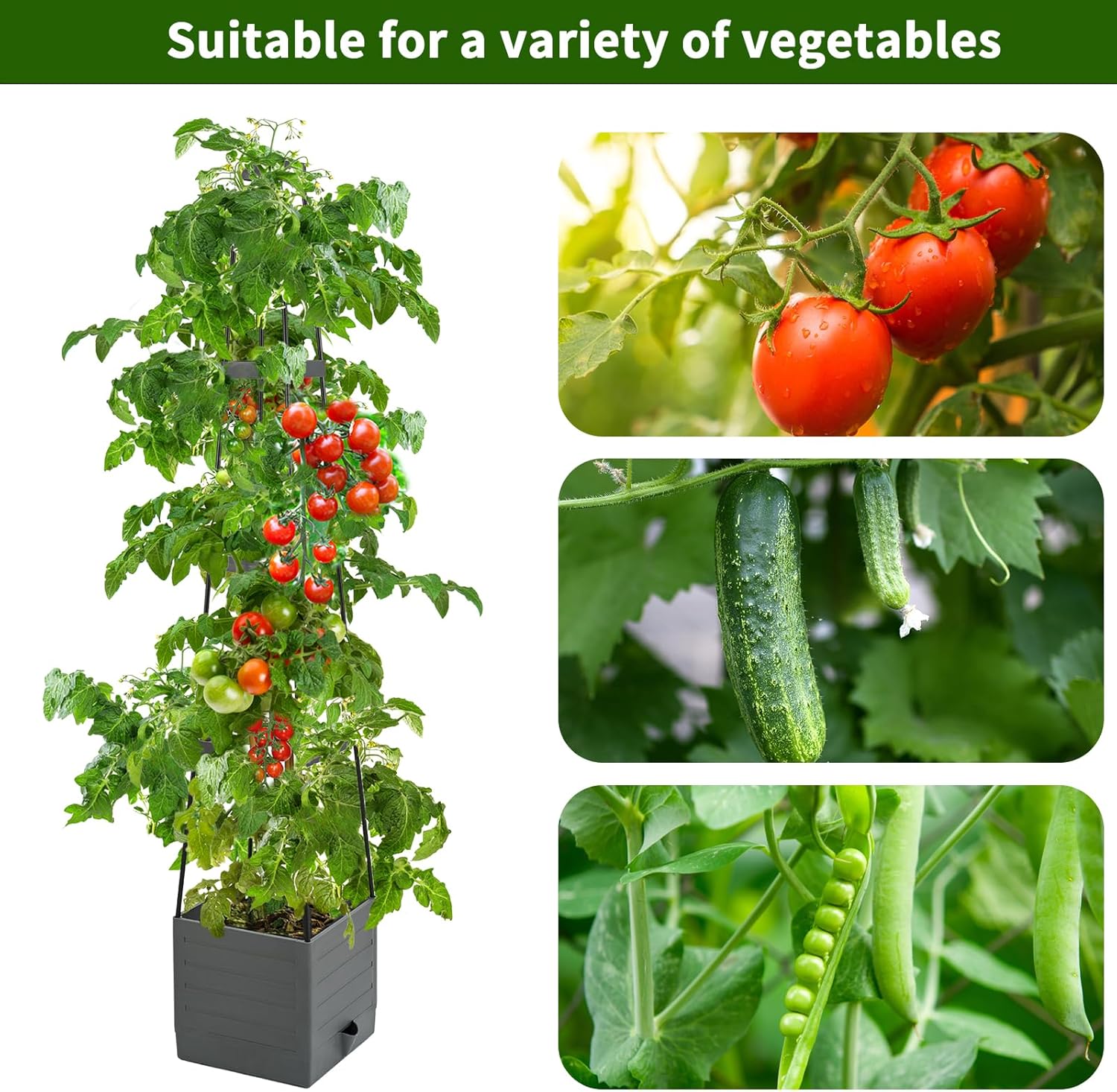 Raised Garden Bed Planter Box  - Self-Watering Planter avis et prix