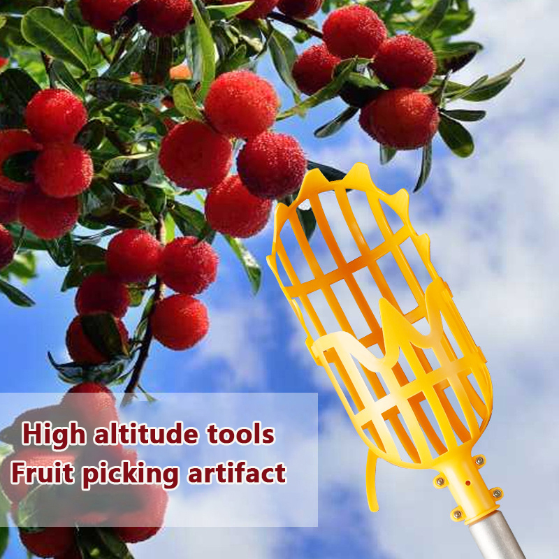 Fruit Picker Picking Loquat Pi - Gardening Tools Rack avis et prix