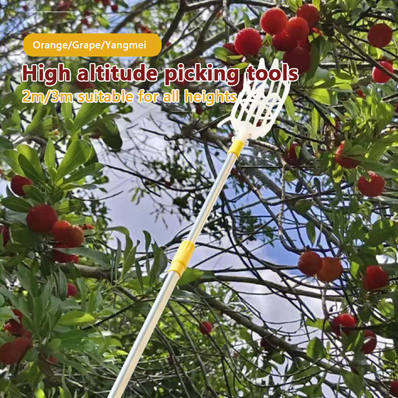 Fruit Picker Picking Loquat Pi - Gardening Tools Rack avis et prix