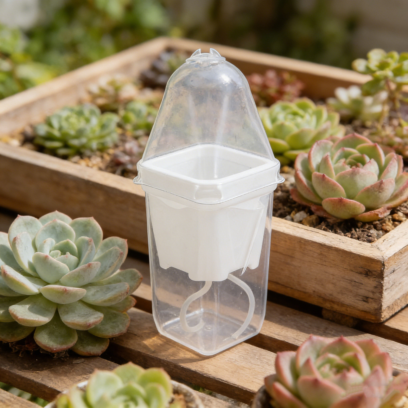 6Pcs Automatic Watering Plant  - Self-Watering Planter avis et prix