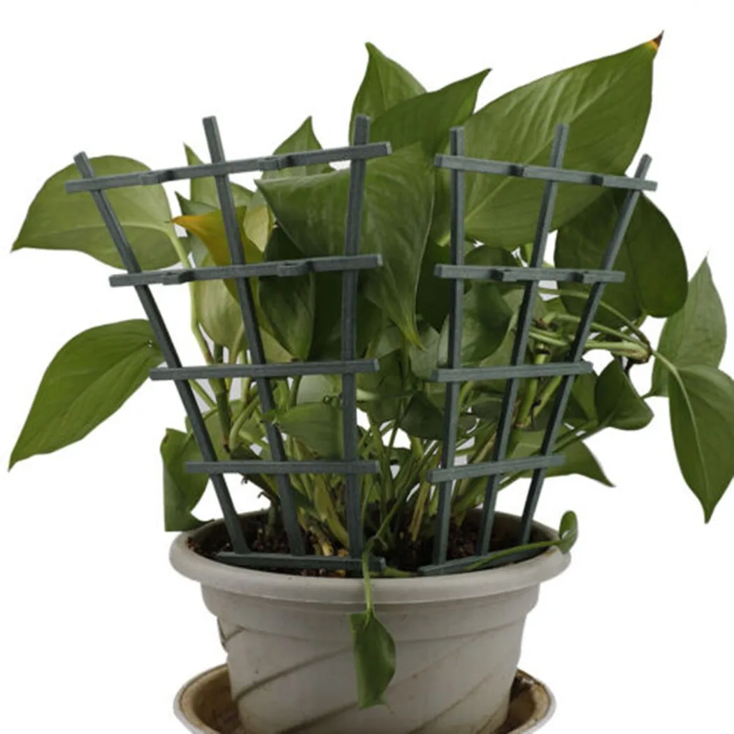 Practical Hot New Plant Suppor - Plant Support Stake avis et prix