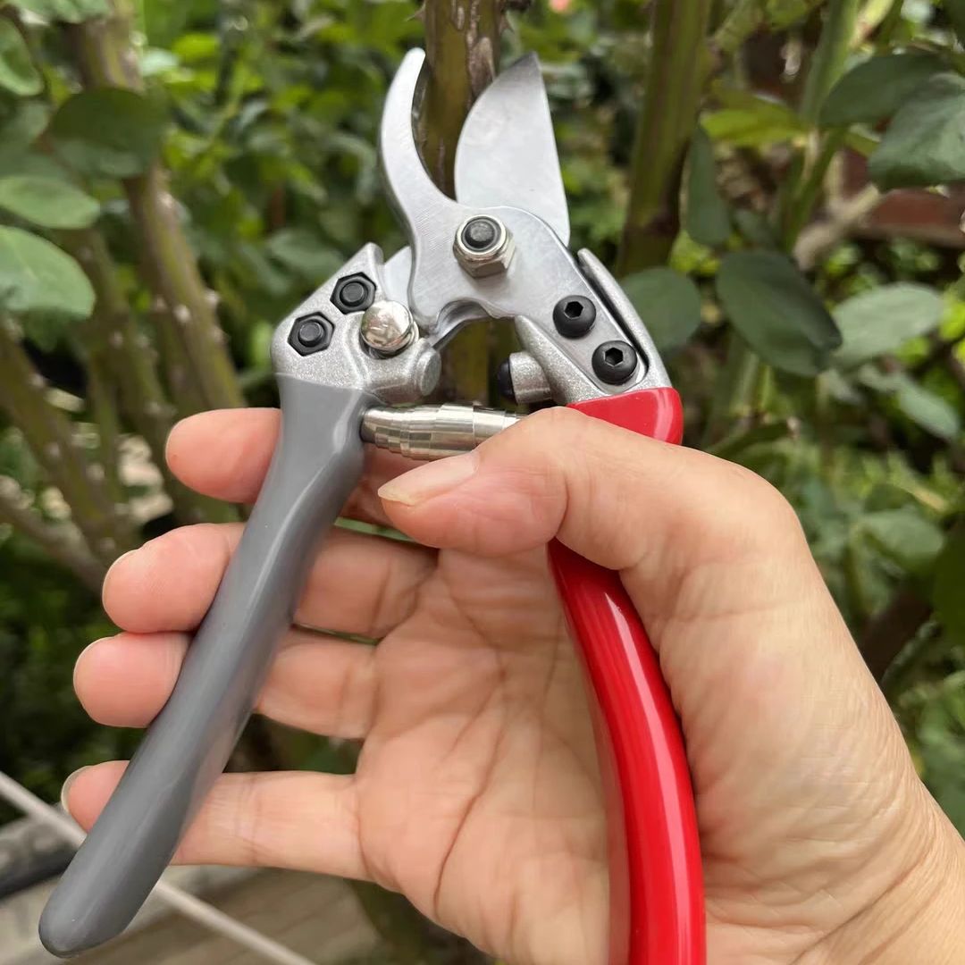 Japan Vvt New Sk5 Strong Garde - Gardening Tools In Japan avis et prix